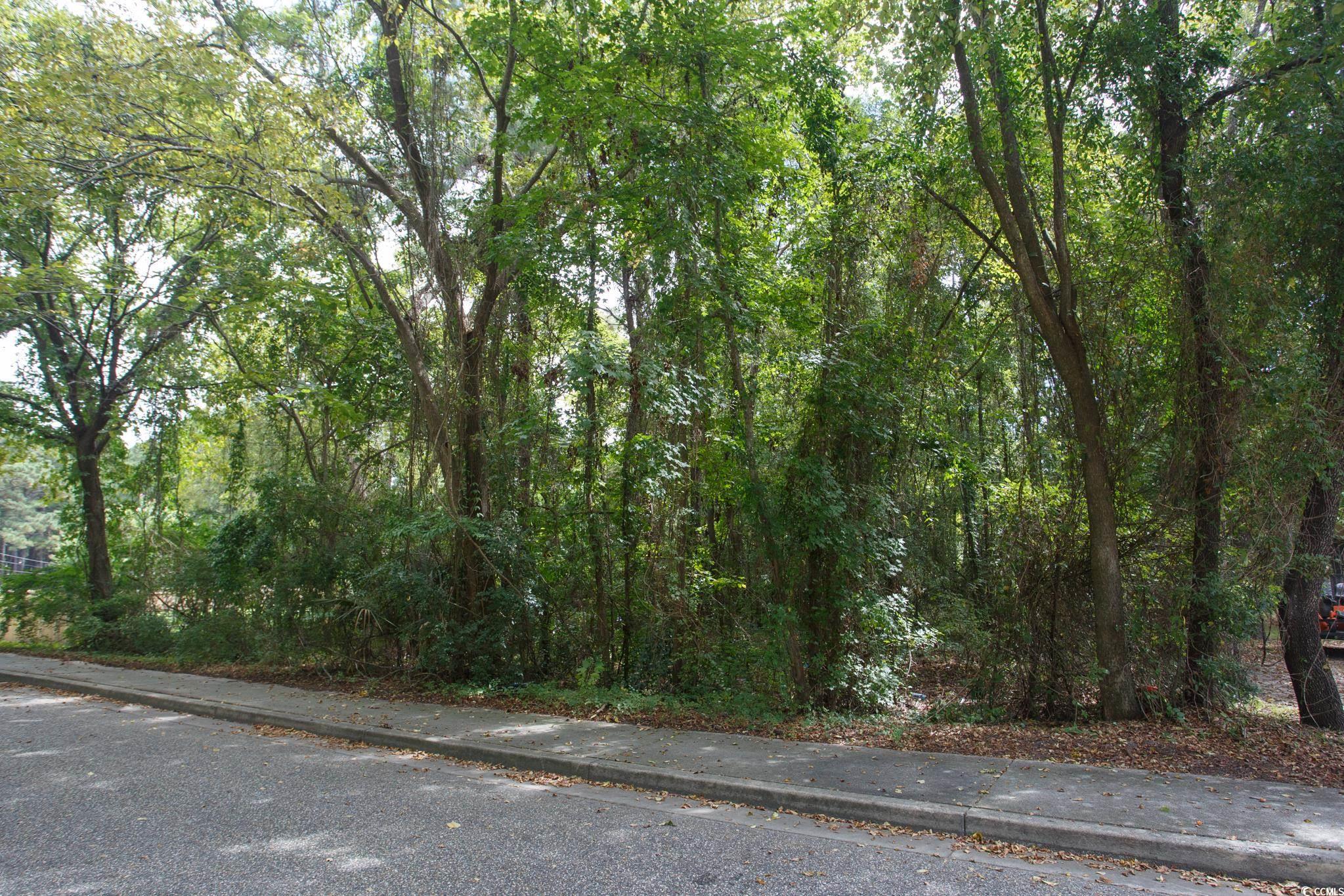 1211 Washington Street Myrtle Beach, SC 29577 - Photo 5 of 15