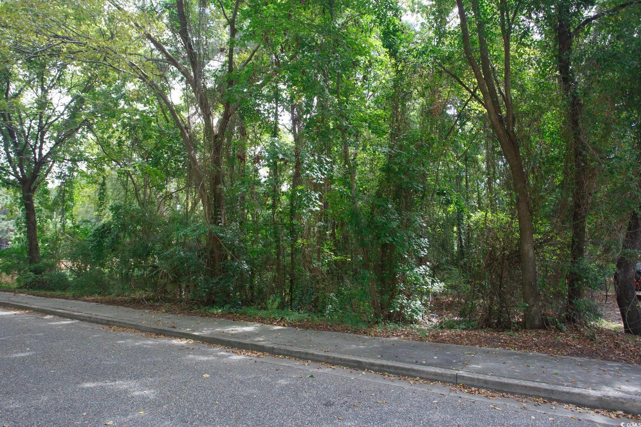 1211 Washington Street Myrtle Beach, SC 29577 - Photo 6 of 15