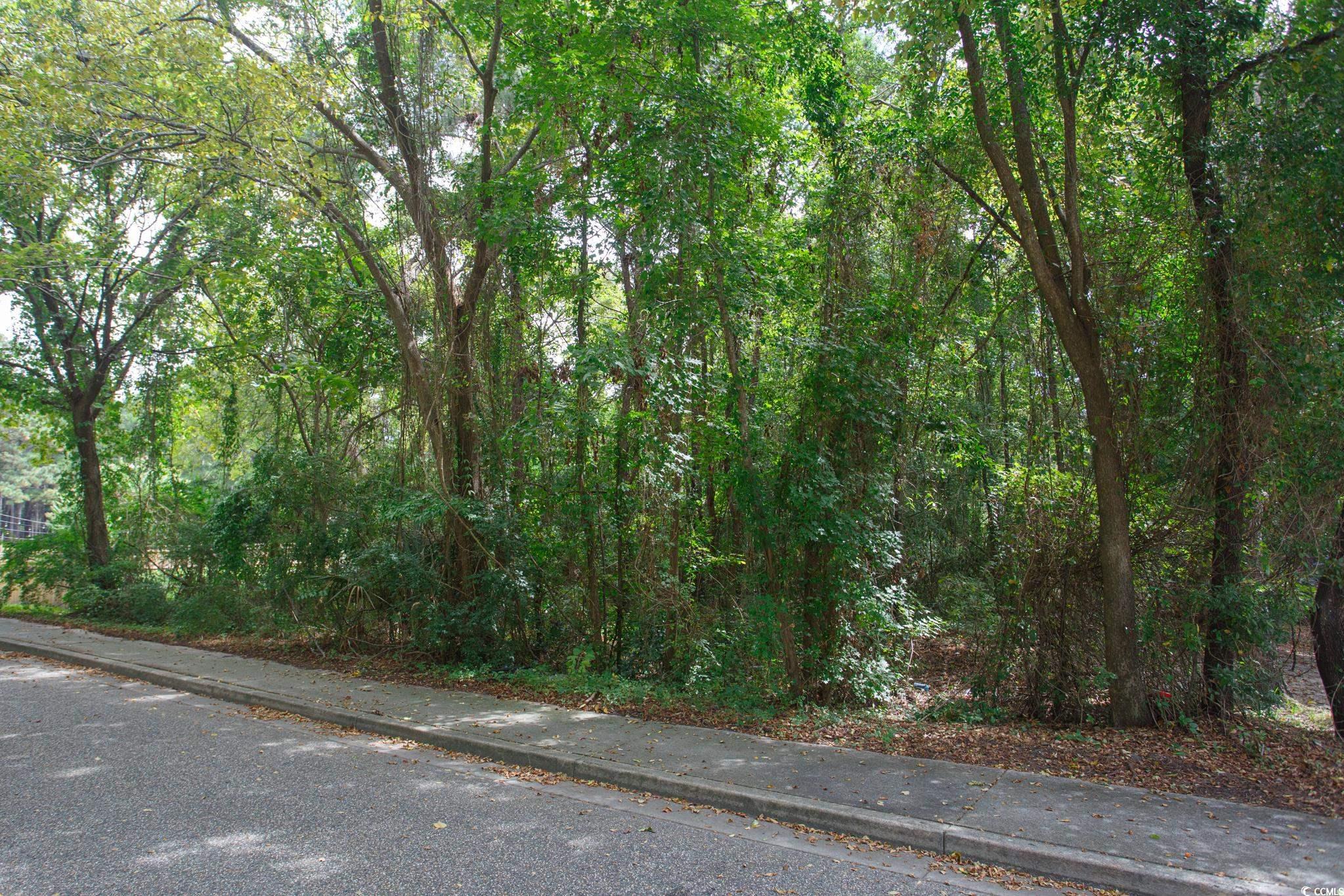 1211 Washington Street Myrtle Beach, SC 29577 - Photo 7 of 15