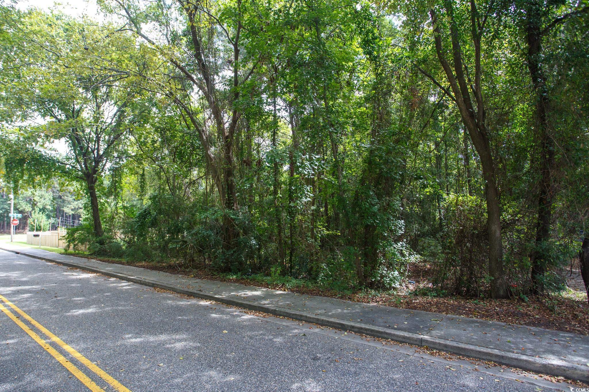 1211 Washington Street Myrtle Beach, SC 29577 - Photo 9 of 15