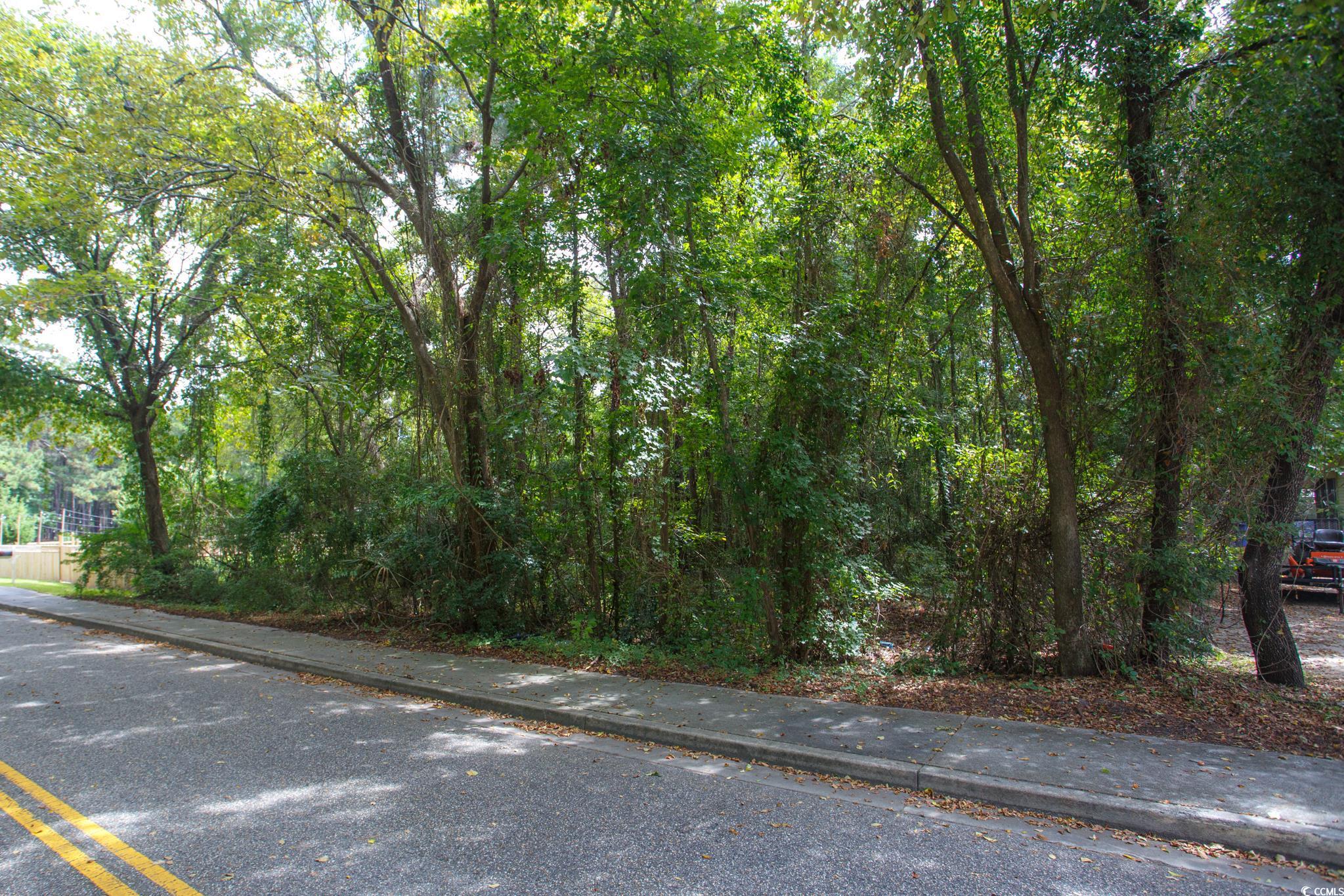 1211 Washington Street Myrtle Beach, SC 29577 - Photo 10 of 15