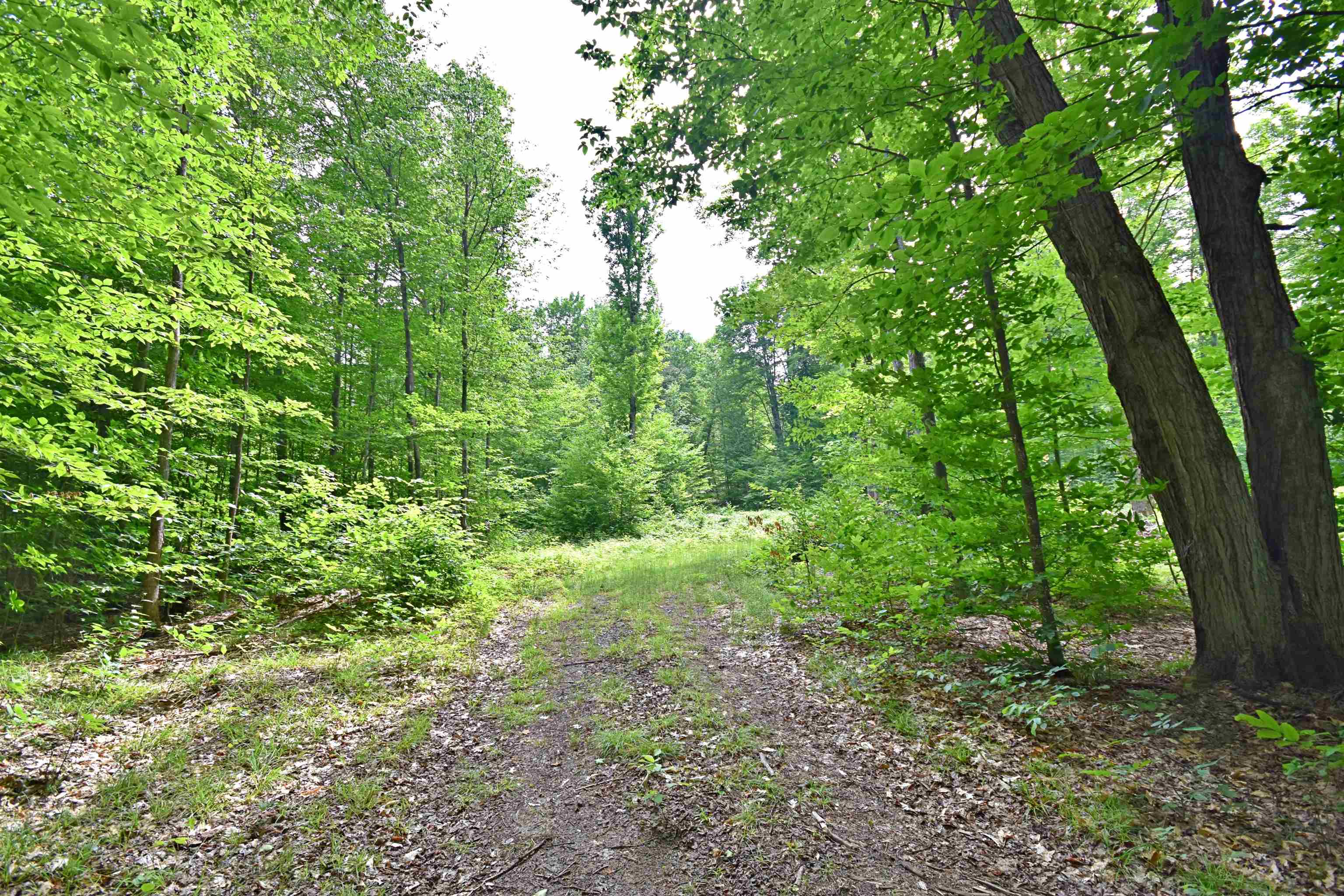 Vl 00 Cherry Hill Road Fife Lake, MI 49633 - Photo 2 of 26