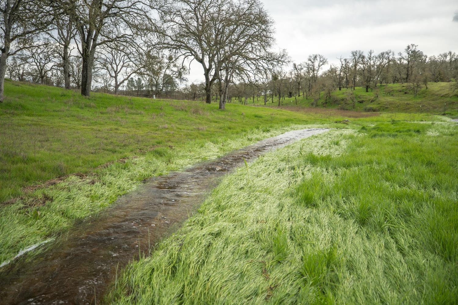 3570 Stagecoach Road Copperopolis, CA 95228 - Photo 48 of 67 small creek that runs mostly year round