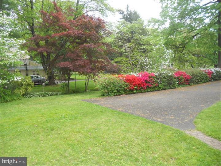 605 Pinney Road Huntingdon Valley, PA 19006 - Photo 23 of 24 Back Yard