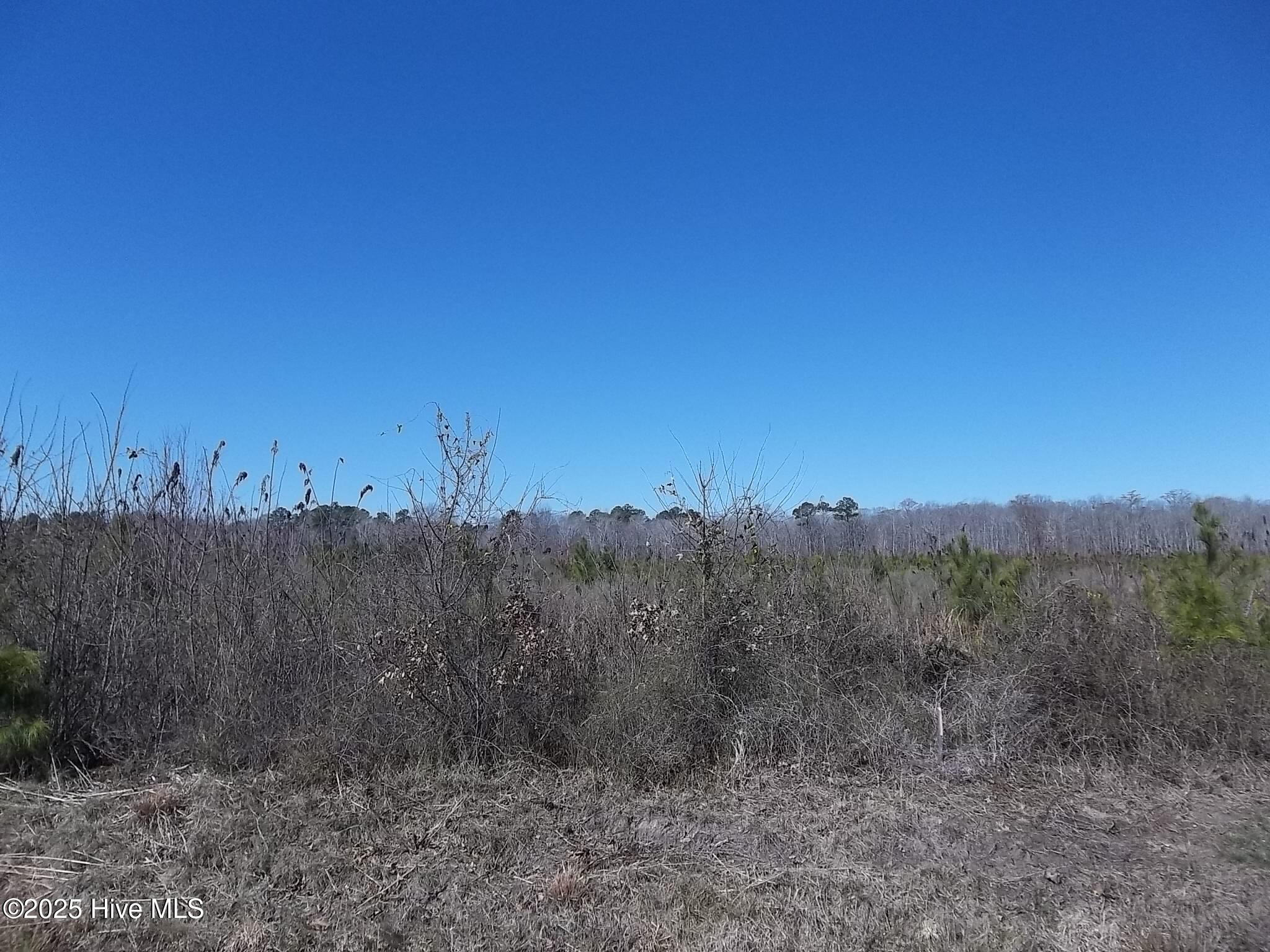 Lot #3 Boat Ramp Road Hertford, NC 27944 - Photo 1 of 1 Main