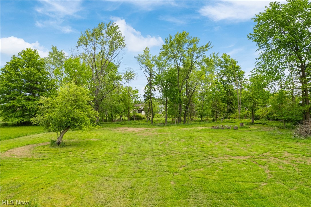 10876 West Sprague Road Cleveland, OH 44130 - Photo 27 of 31 View of yard