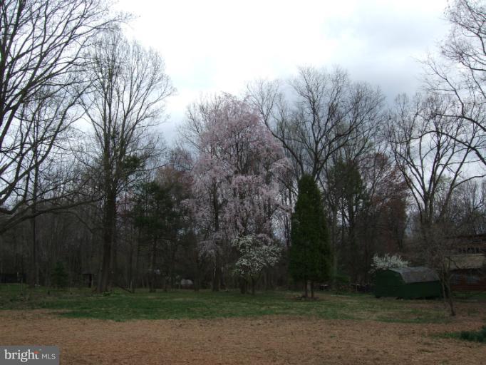 17315 Donora Road Silver Spring, MD 20905 - Photo 28 of 30 Treed, level lot