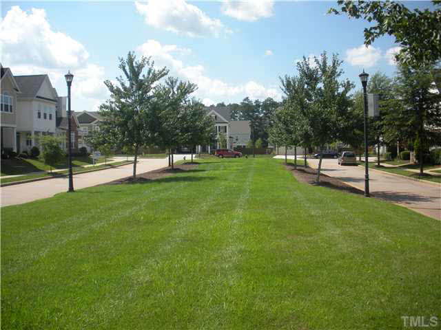 658 Democracy Street Raleigh, NC 27603 - Photo 3 of 25 a view of a park with a tree