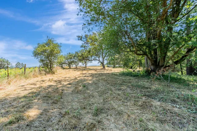 a view of empty space with large trees