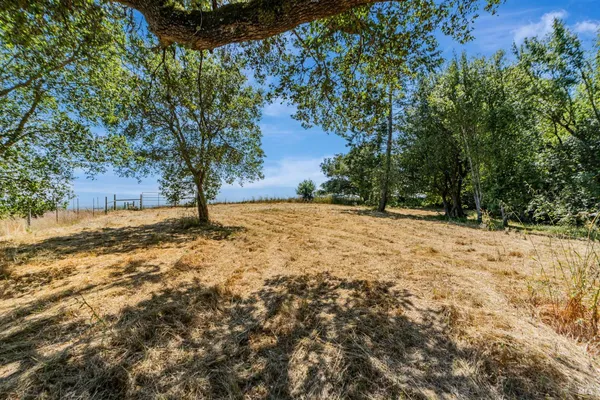 a view of a yard with an trees