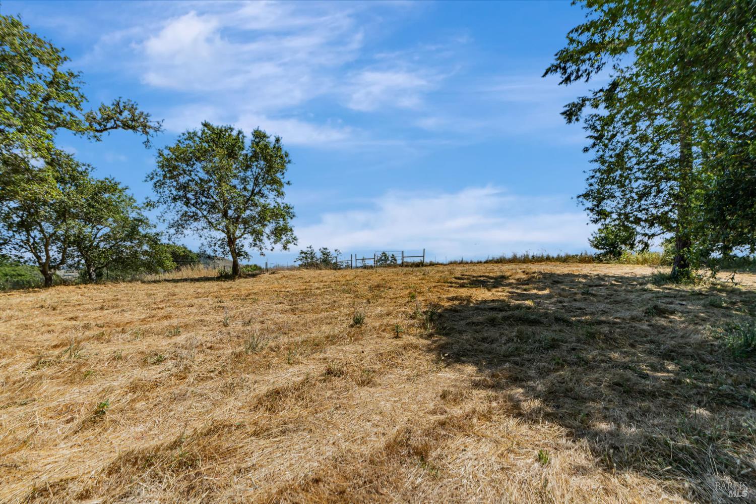 0 South Bodega Highway Bodega, CA 94922 - Photo 13 of 33 a view of a yard with an trees