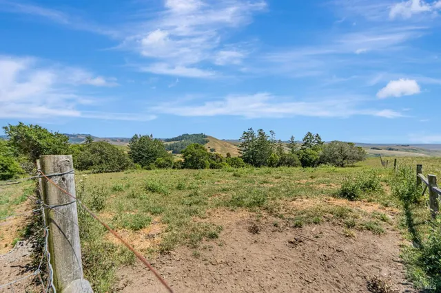 a house with trees in front of it