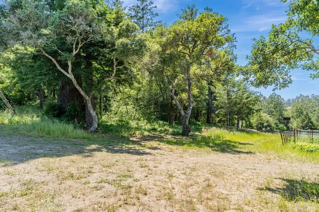 a view of empty space and covered with trees