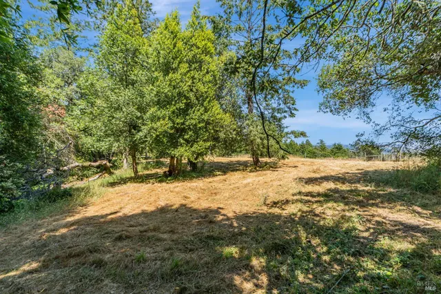 a view of a yard with trees