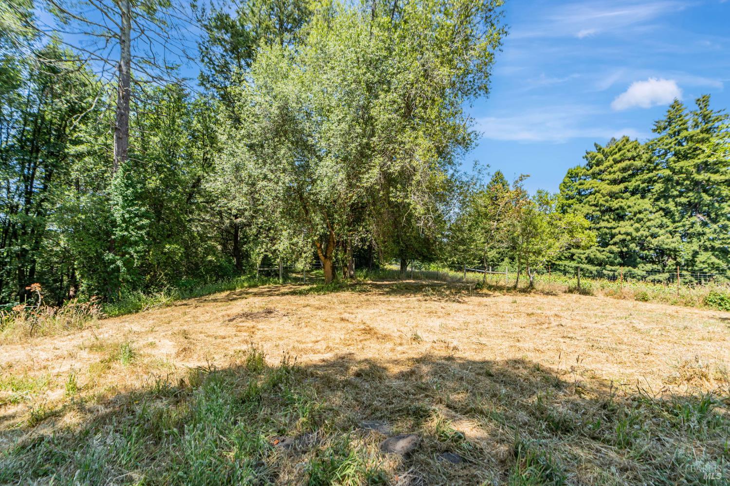 0 South Bodega Highway Bodega, CA 94922 - Photo 22 of 33 a view of a yard with trees