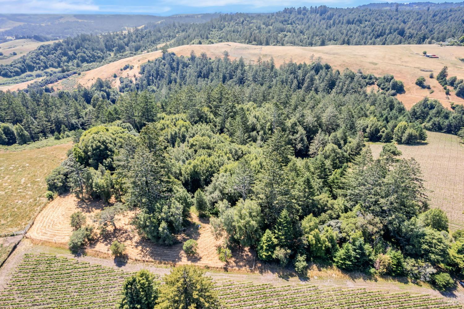 0 South Bodega Highway Bodega, CA 94922 - Photo 24 of 33 an aerial view of a house with a yard and lake view