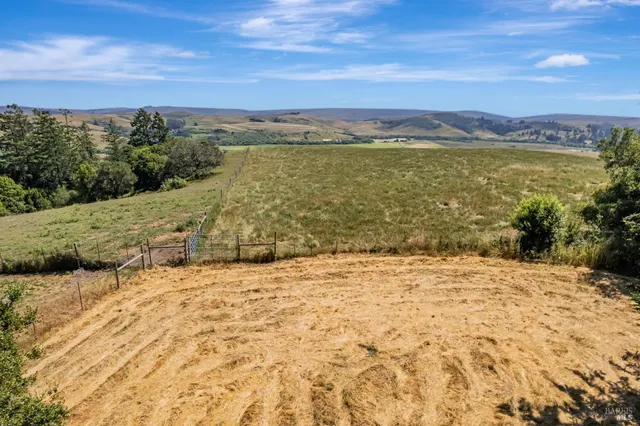 a view of a yard with a yard