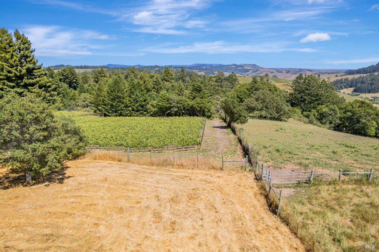 0 South Bodega Highway Bodega, CA 94922 - Photo 27 of 33 a view of a yard with a yard