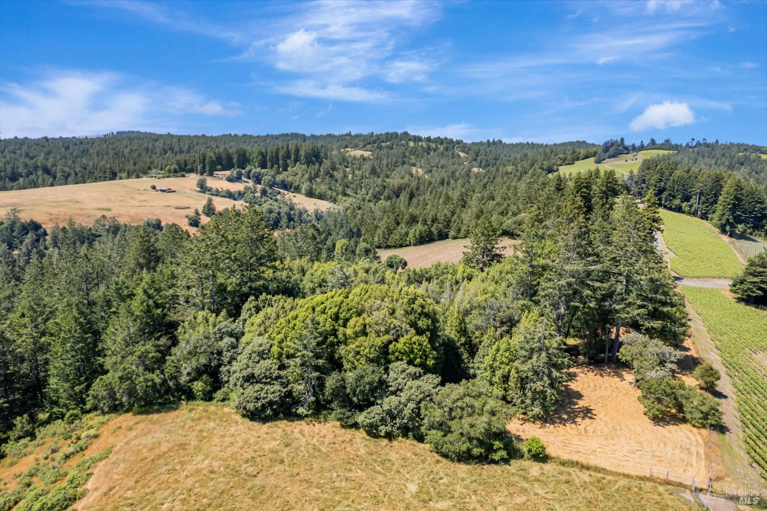 0 South Bodega Highway Bodega, CA 94922 - Photo 28 of 33 a view of a lake with a mountain