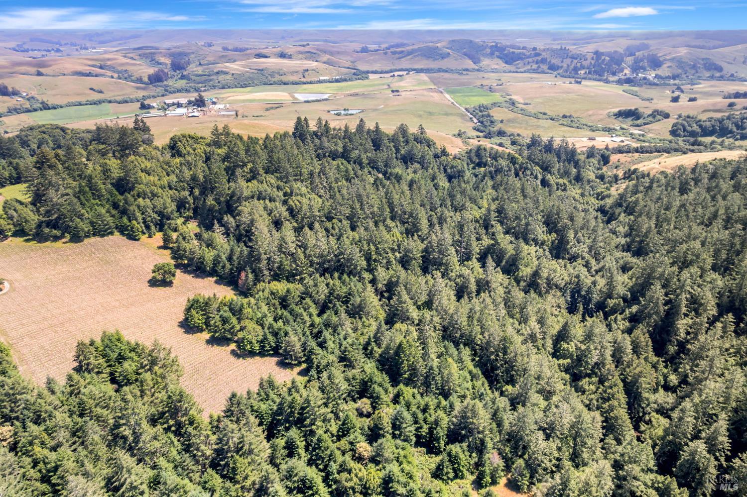 0 South Bodega Highway Bodega, CA 94922 - Photo 29 of 33 an aerial view of a houses with a lake view