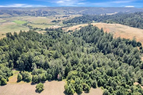 an aerial view of mountain with residential house and trees in the background
