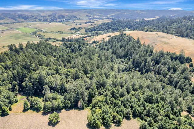 an aerial view of mountain with residential house and trees in the background