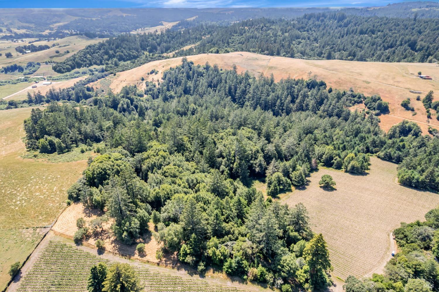 0 South Bodega Highway Bodega, CA 94922 - Photo 31 of 33 an aerial view of mountain with residential house and trees in the background