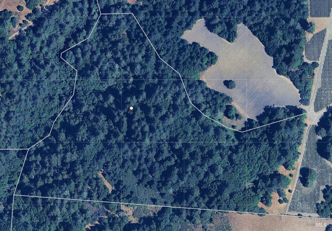 0 South Bodega Highway Bodega, CA 94922 - Photo 4 of 33 a picture of tree next to a wall