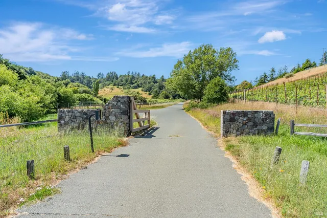 a view of a back yard