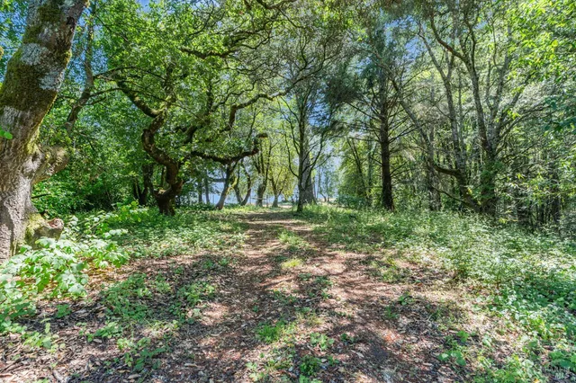 a view of yard with green space