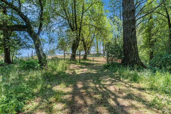 a view of outdoor space with trees
