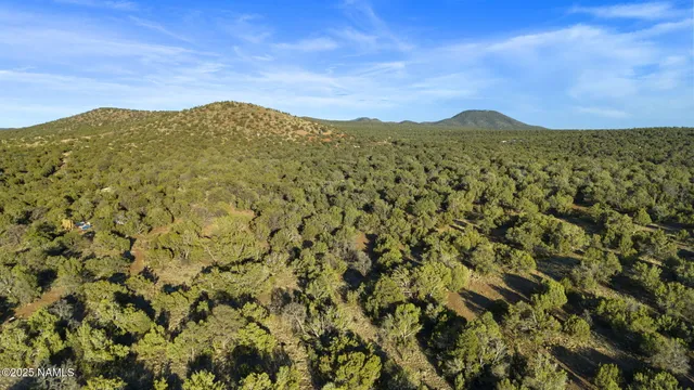 a view of a large mountain