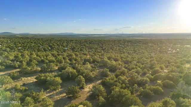 a view of lake with green space