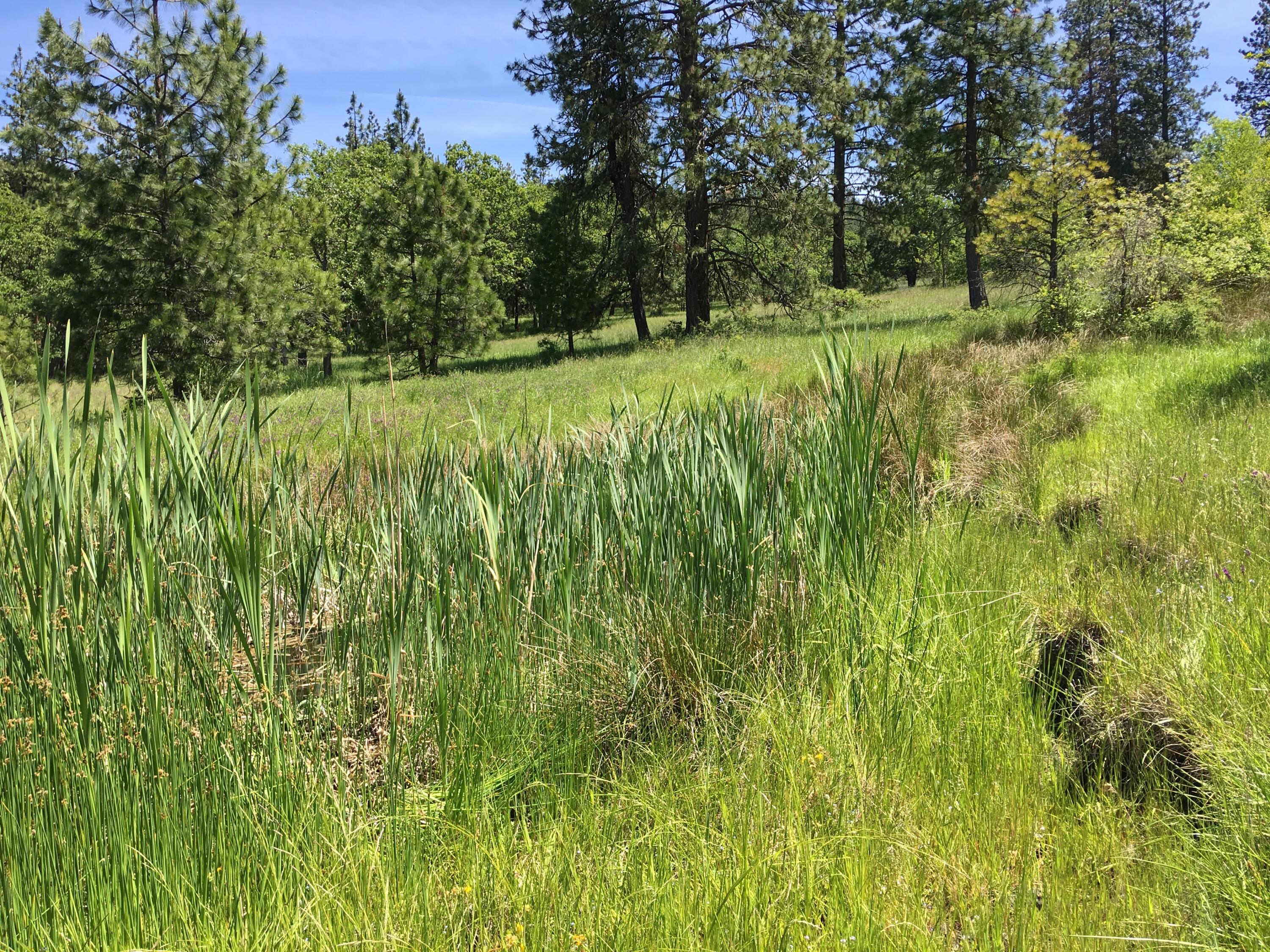 8000 Hillcrest Road Medford, OR 97504 - Photo 11 of 36 IMG_3147