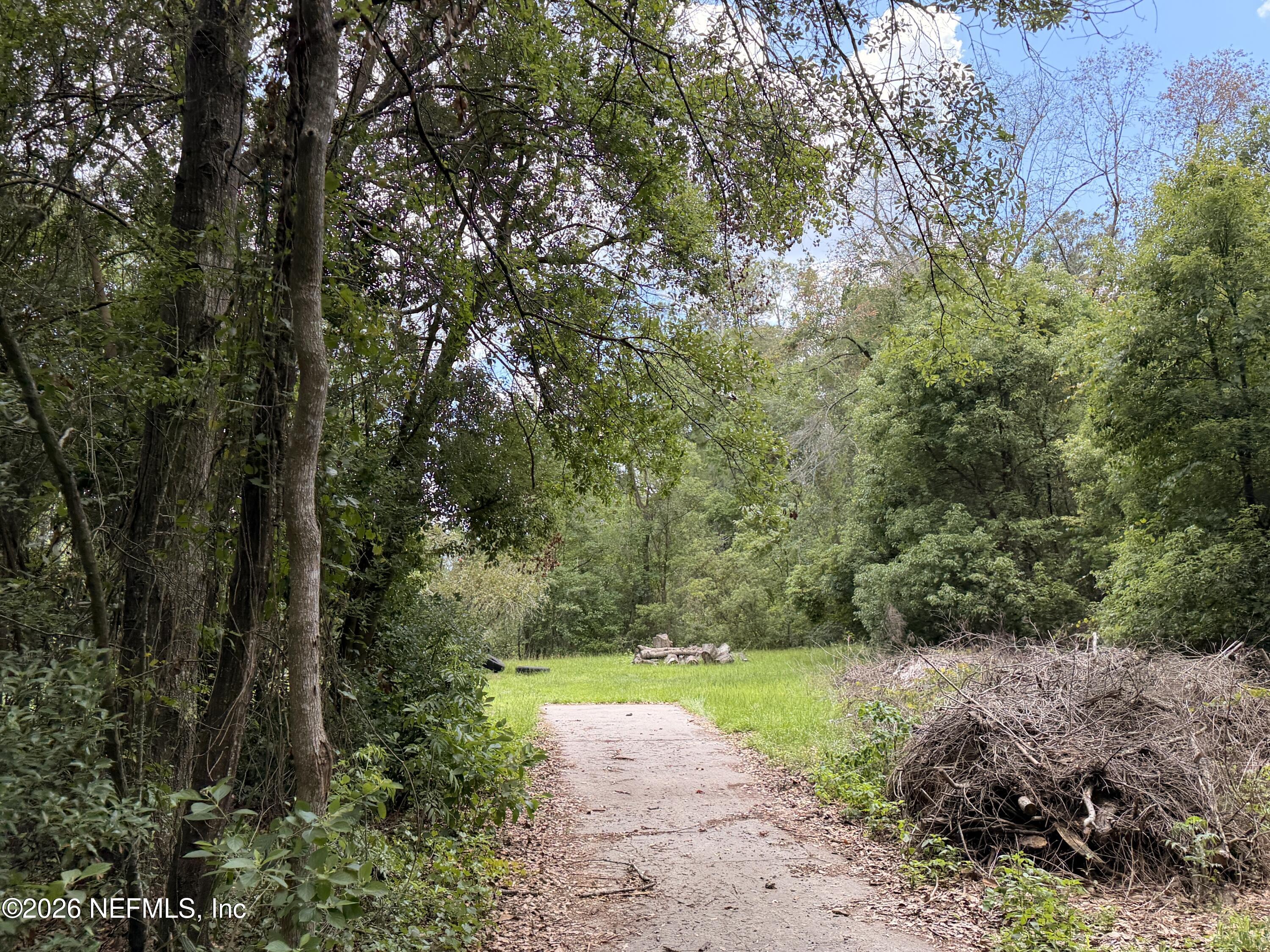 8048 Old Plank Road Jacksonville, FL 32220 - Photo 3 of 6 a view of a park with large trees