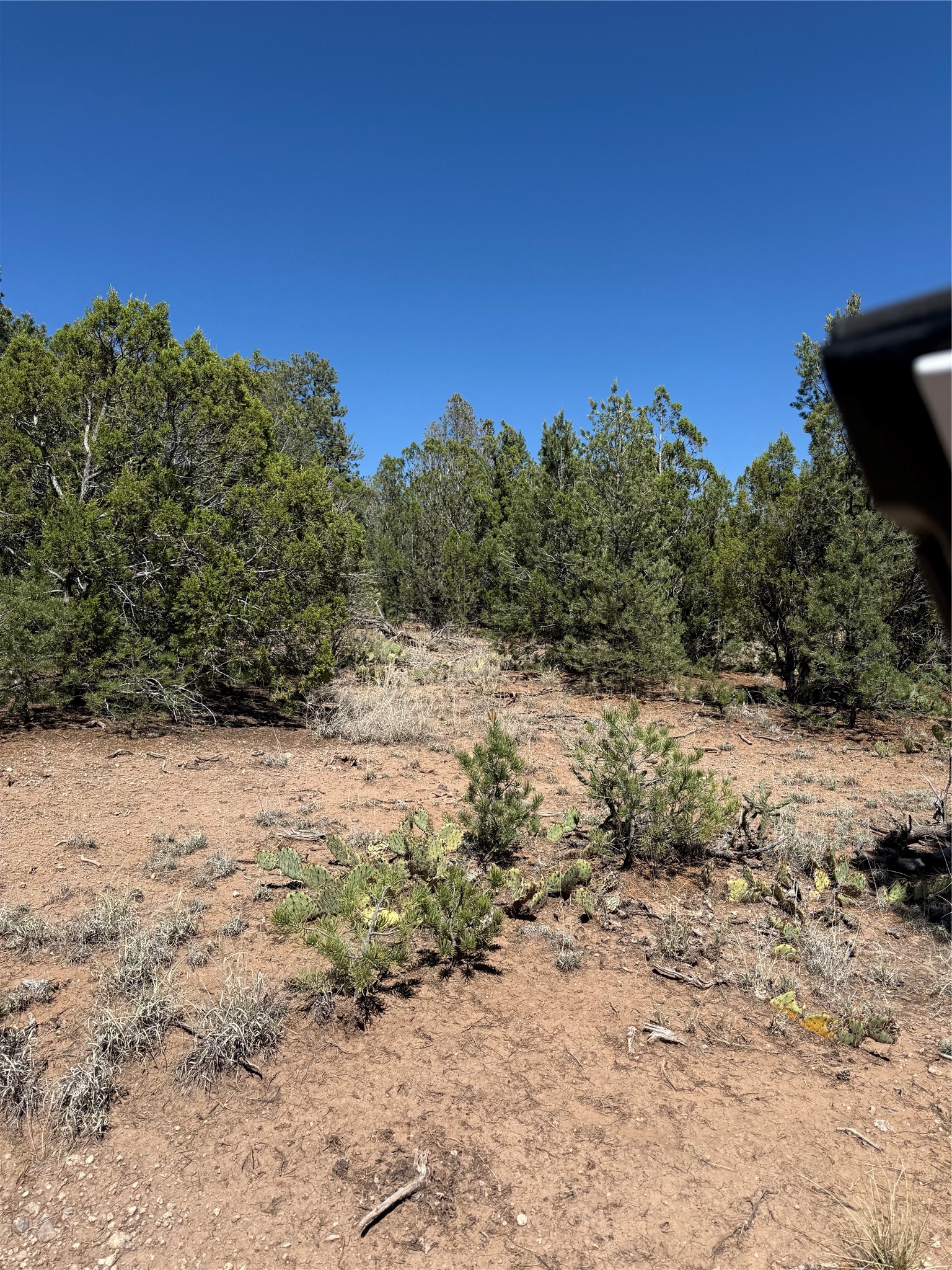 174 Hidden Valley Ranch Road Ilfeld, NM 87538 - Photo 23 of 30