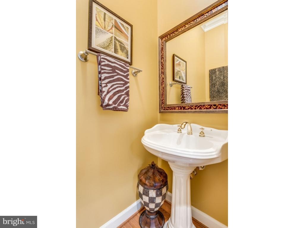 20256 Island View Court Sterling, VA 20165 - Photo 11 of 30 Bath