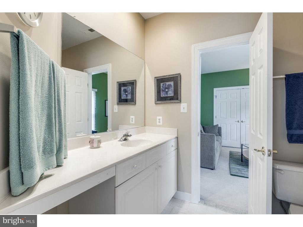 20256 Island View Court Sterling, VA 20165 - Photo 24 of 30 Bath (Master)