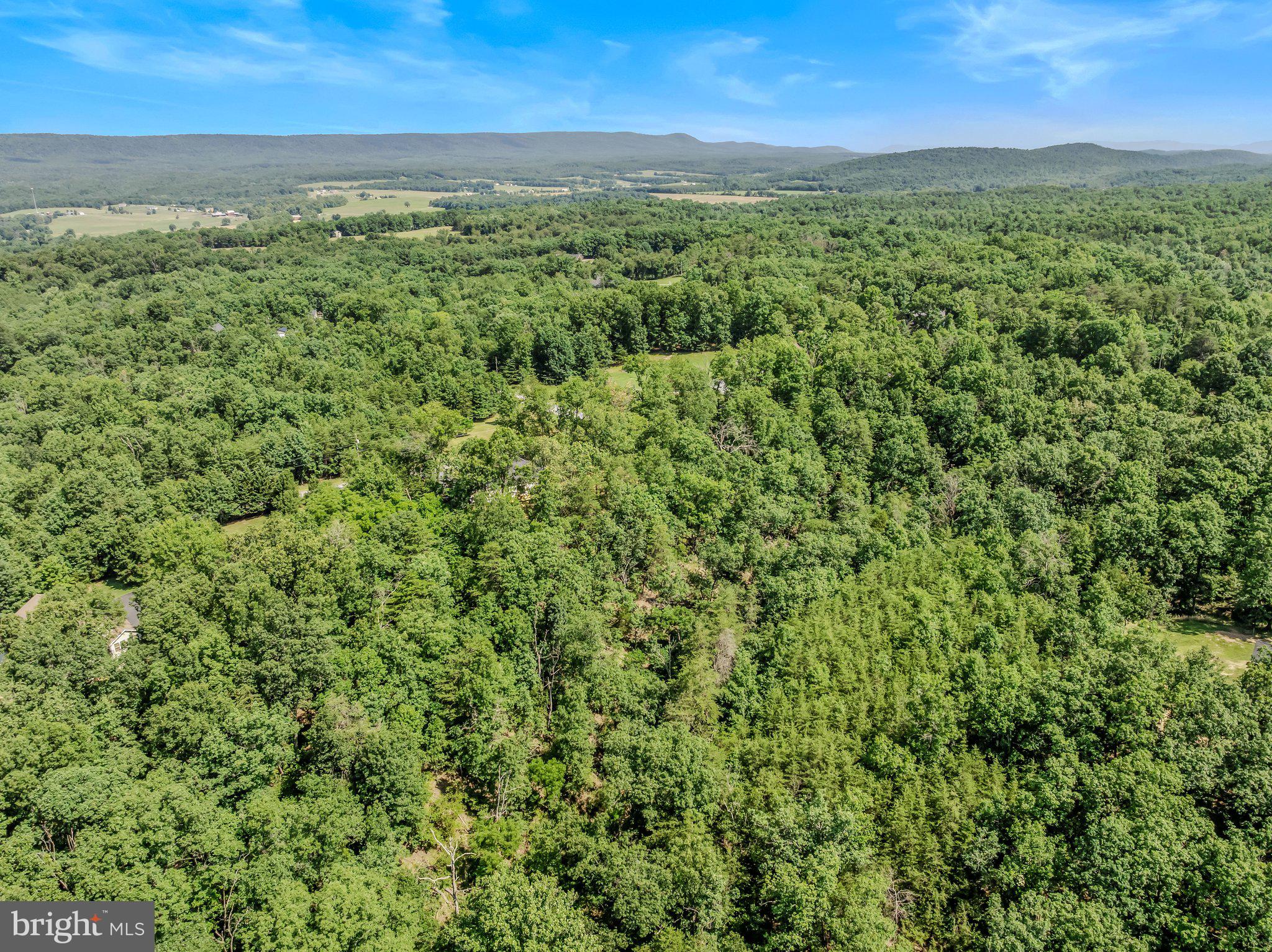 123 Jenkins Road Gerrardstown, WV 25420 - Photo 46 of 55 Aerial View