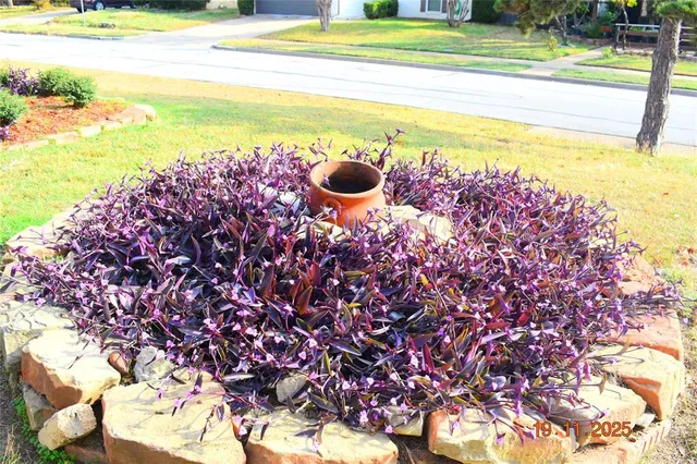 a view of a swimming pool and a yard