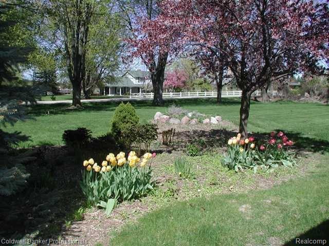 3113 Reamer Road Lapeer, MI 48446 - Photo 8 of 19 3113 Reamer garden2