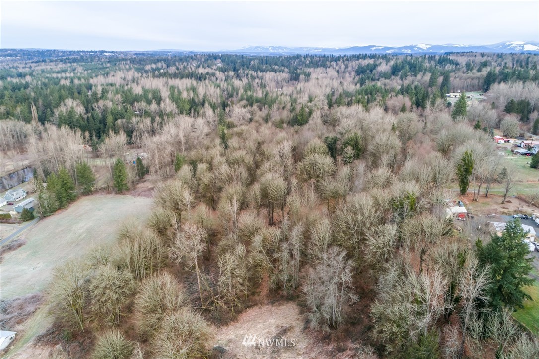 14325 Three Lakes Road Snohomish, WA 98290 - Photo 9 of 12