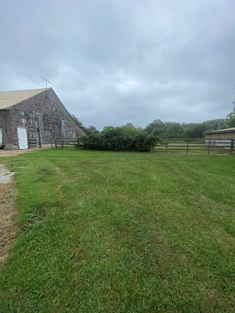 556 Medlin Road Walnut Hill, IL 62893 - Photo 4 of 15