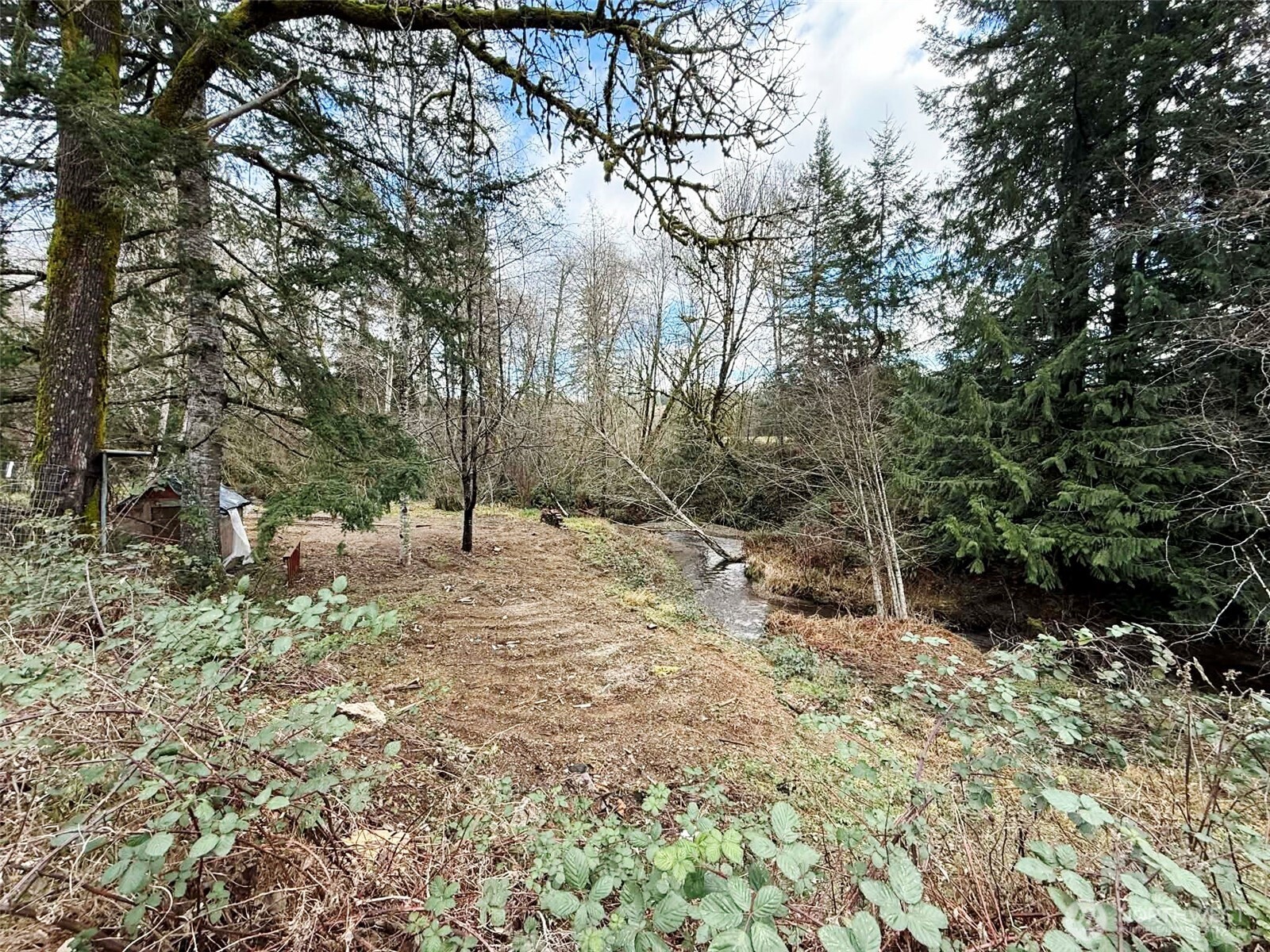 128 South Union Road Elma, WA 98541 - Photo 26 of 33 a view of a forest with trees
