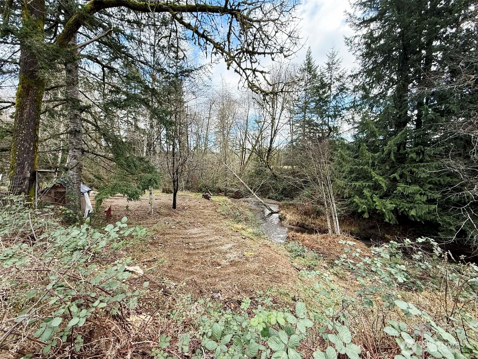 128 South Union Road Elma, WA 98541 - Photo 27 of 33 a view of a forest with trees