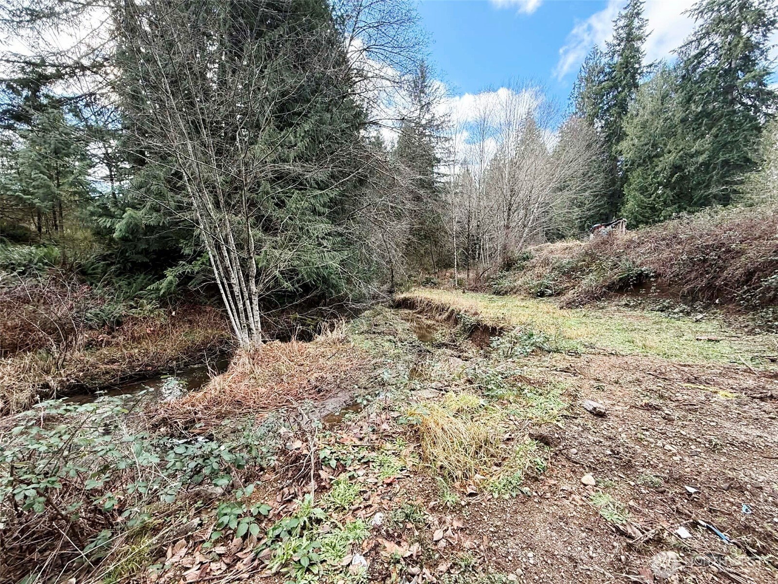128 South Union Road Elma, WA 98541 - Photo 28 of 33 a view of a dry yard with trees