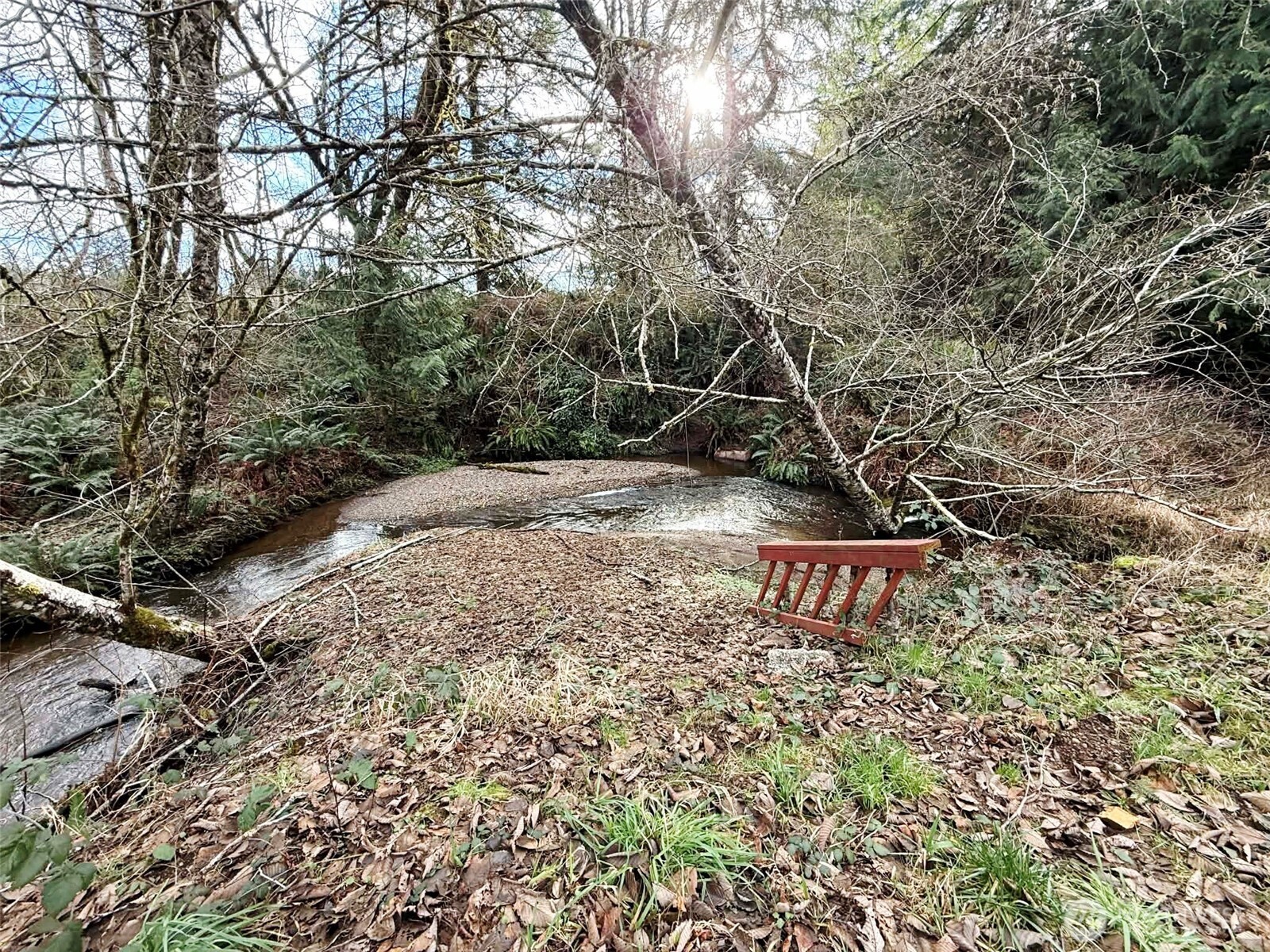 128 South Union Road Elma, WA 98541 - Photo 29 of 33 a view of a yard with plants and trees