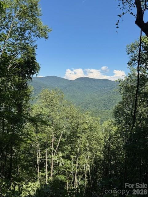 5379 Preserve Road, Unit 189 Sylva, NC 28779 - Photo 2 of 6 a view of lake view and mountain