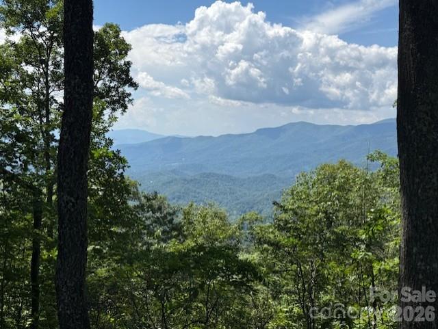 5379 Preserve Road, Unit 189 Sylva, NC 28779 - Photo 3 of 6 a view of a bunch of trees in a field