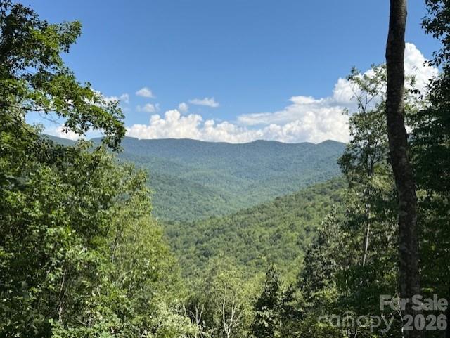 5379 Preserve Road, Unit 189 Sylva, NC 28779 - Photo 5 of 6 a view of a big yard with lots of green space